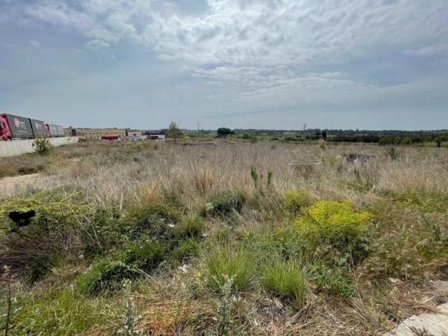 Terreno en venta en Puigpelat, Centro