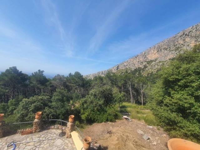 Terreno en Venta en Puigpunyent