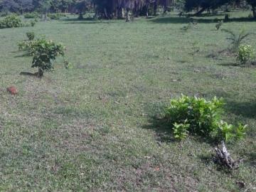 Terreno en Venta en Punta Delgadita Punta Delgadita Veraguas