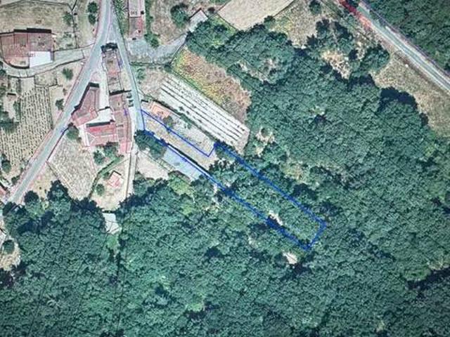 Terreno en Venta en Punxín