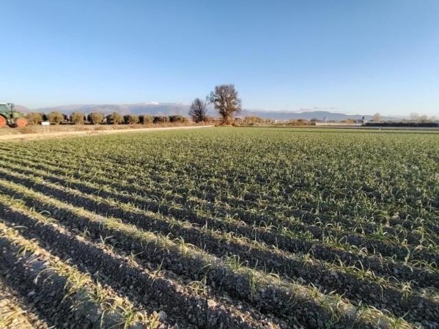 Terreno en venta en Purchil, Carretera