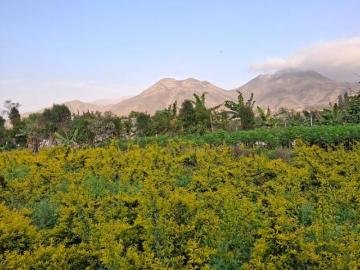 TERRENO EN VENTA EN PACHACAMAC
