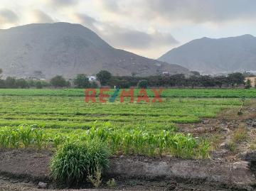 Terreno en venta en Pachacamac a $1,200,000