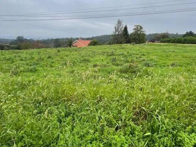 Terreno en Venta en Paderne