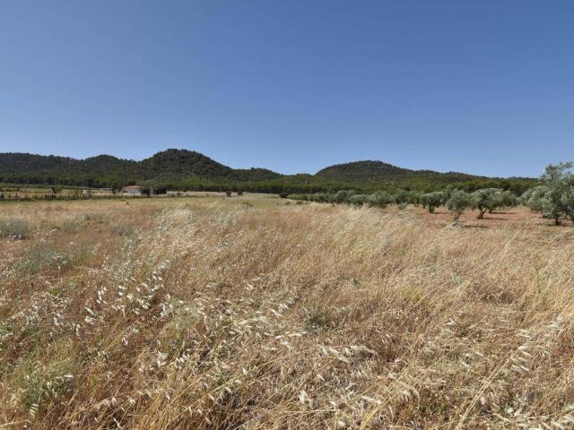 Terreno en Venta en Padul