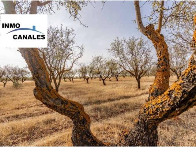 Terreno en Venta en Padul