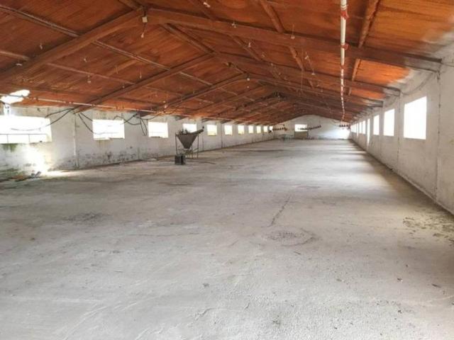 Terreno en Venta en Padul
