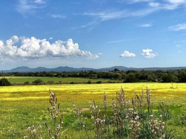 Terreno en Venta en Campos