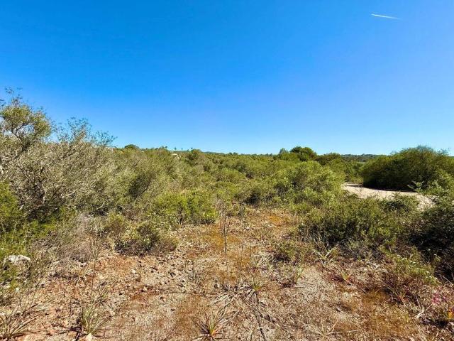 Terreno en Venta en Palma de Mallorca