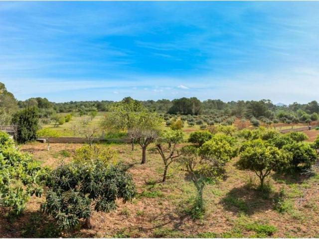 Terreno en Venta en Palma de Mallorca