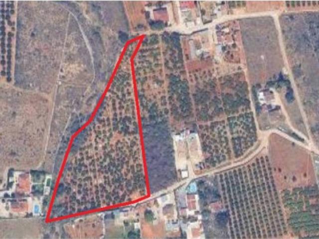 Terreno en Venta en Palma de Gandia