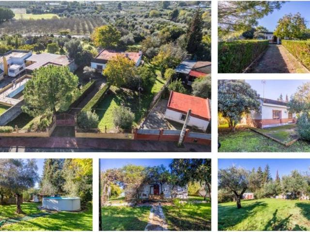 Terreno en Venta en Palomares del Río