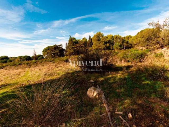 Terreno en Venta en Palau Saverdera