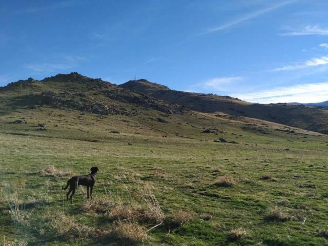 Terreno en Venta en Palazuelos de Eresma