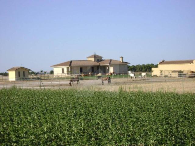 Terreno en Venta en Palacios de Goda
