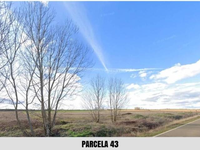 Terreno en Venta en Palacios de Riopisuerga