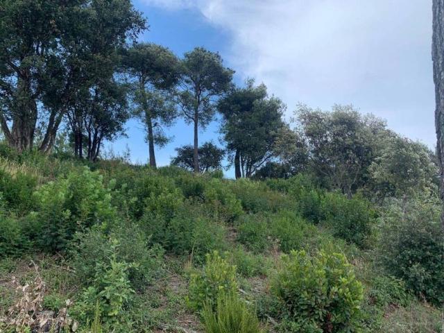 Terreno en Venta en Palafolls