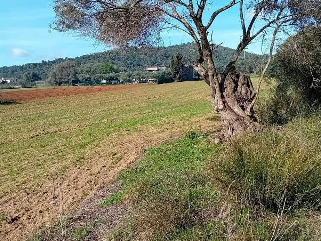 Terreno en venta en Palamós, de 5.400 m² por 40.000