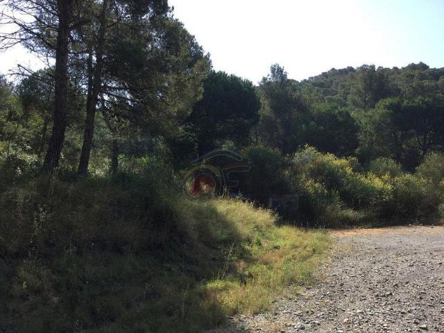 Solar en venta en Palamós, de 778 m² por 163.000