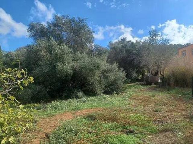 Terreno en Venta en Pals