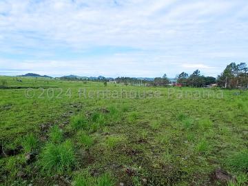 Terreno en Venta en Paso Ancho, Tierras Altas