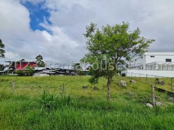 Terreno en Venta en Paso Ancho, Tierras Altas