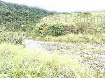 Terreno en Venta en Paso Ancho, Tierras Altas