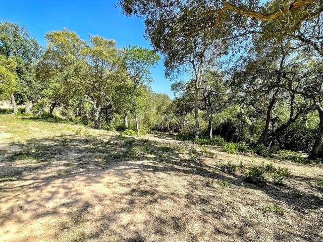 Terreno en venta en pasaje De la Plana, Lloret de Mar, de 5.300 m² por 24.500
