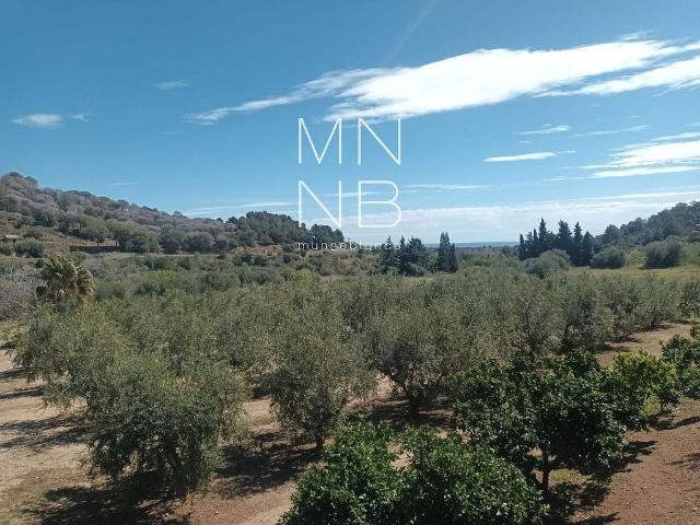 Terreno en venta en paseo De Teresa Toda i Juncosa, Riudecanyes, de 25.000 m² por 500.000 €