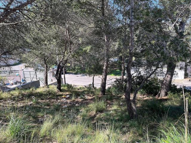 Terreno en venta en paseo Pins, Canyelles, de 200 m² por 96.000