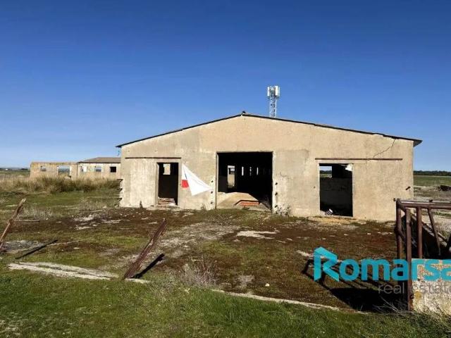 Terreno en Venta en Papatrigo