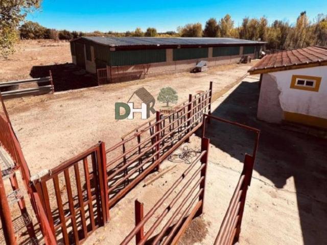 Terreno en Venta en Paracuellos de Jarama