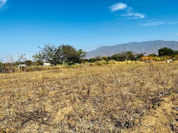 Terreno en venta en Paraje El guayabal, Tlalixtac de cabrera, Oaxaca