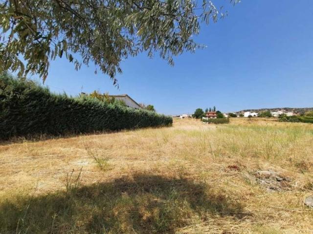Terreno en Venta en Paredes de Escalona