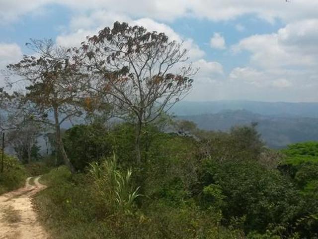 Terreno en Venta en Parques Del Sur, Paracotos