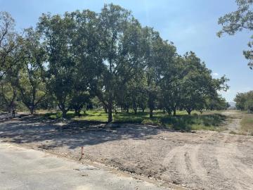 Terreno en venta en Parras, Parras, Coahuila de Zaragoza