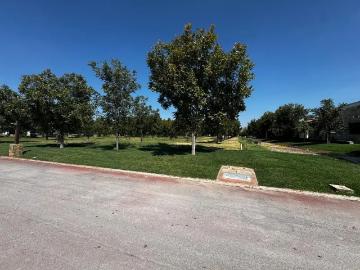 Terreno en venta en Parras, Parras, Coahuila de Zaragoza