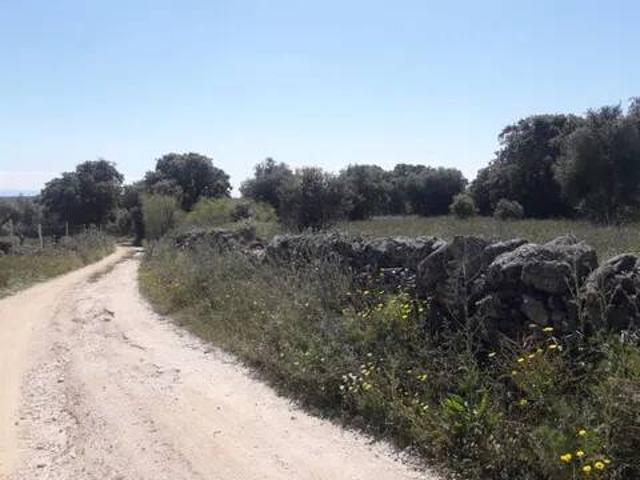 Terreno en Venta en Parrillas