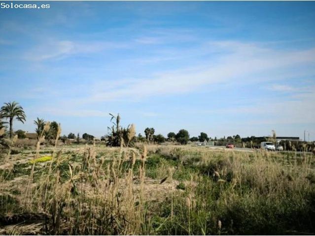 Terreno en Venta en Partida Daimes La Hoya