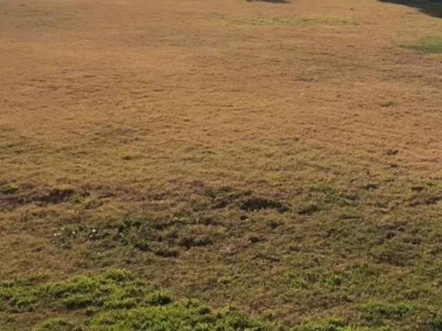 Terreno en Venta en Paterna