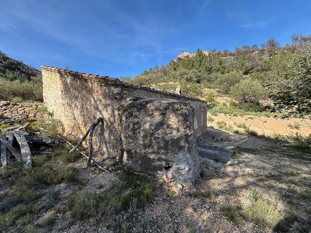 Terreno en venta en Paüls, de 26.231 m² por 39.000