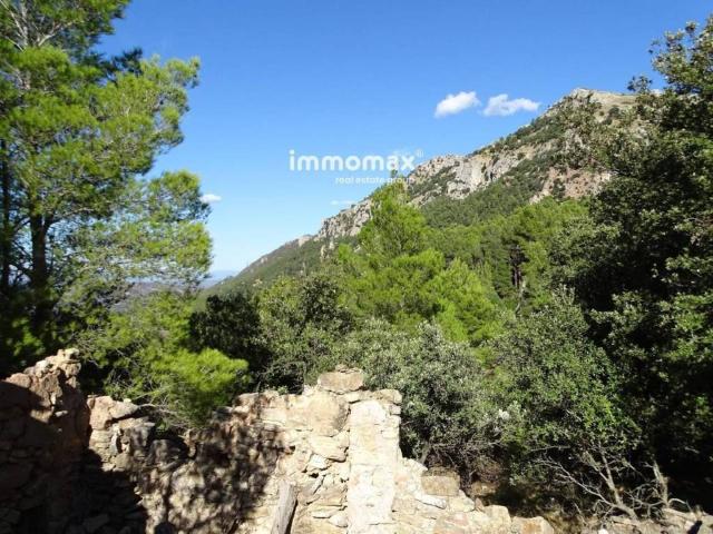 Terreno en Venta en Paüls