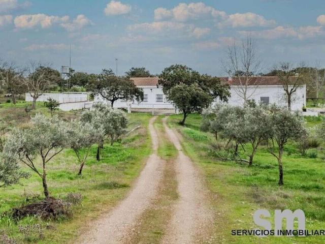 Terreno en Venta en Paymogo