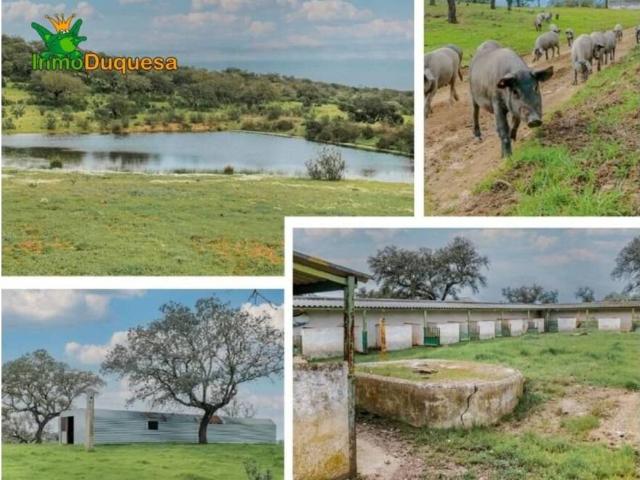 Terreno en Venta en Paymogo