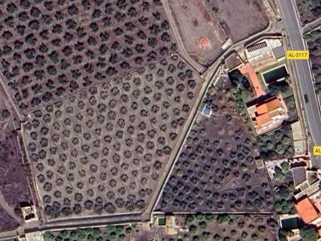 Terreno en venta en Pechina, Pechina