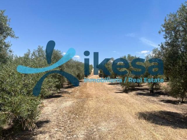 Terreno en venta en Peal de Becerro, Andalucia