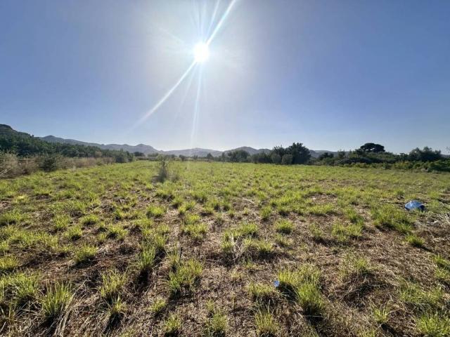 Terreno en Venta en Pego