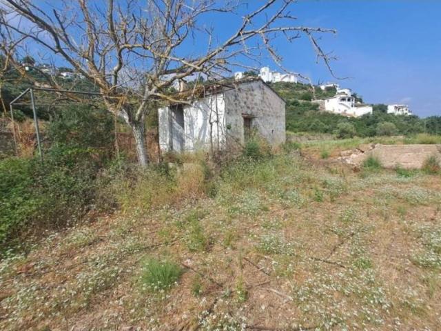 Terreno en Venta en Pego