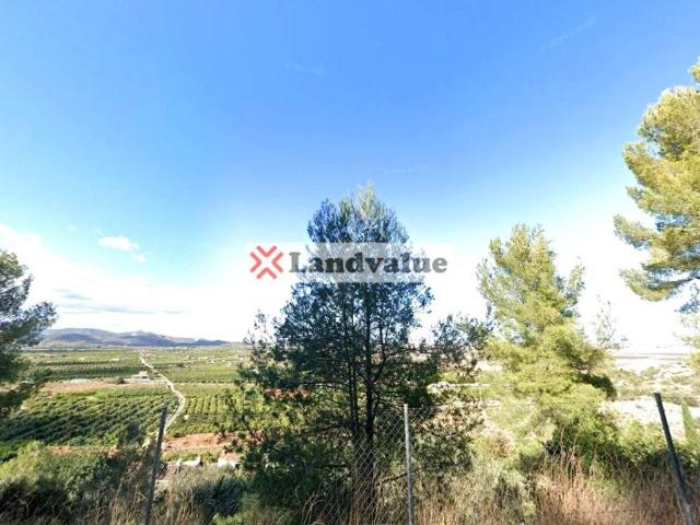 Terreno en Venta en Pego