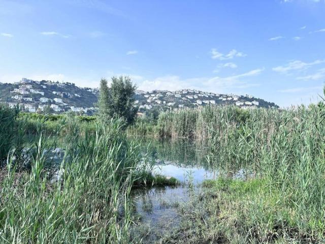 Terreno en Venta en Pego